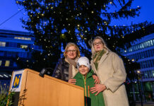 Christbaum aus Altendorf im Niederösterreichischen Landhaus illuminiert