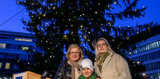 Christbaum aus Altendorf im Niederösterreichischen Landhaus illuminiert
