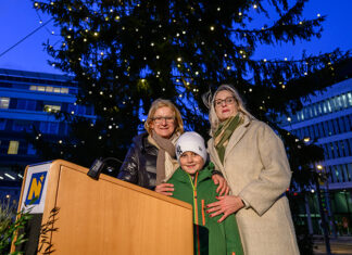 Christbaum aus Altendorf im Niederösterreichischen Landhaus illuminiert