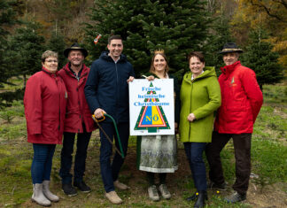 Maria Laacher Christbaum bringt weihnachtlichen Glanz ins EU-Parlament