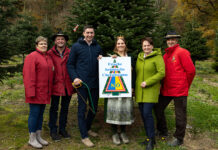 Maria Laacher Christbaum bringt weihnachtlichen Glanz ins EU-Parlament