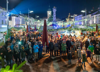 Viel Neues unter dem Baum