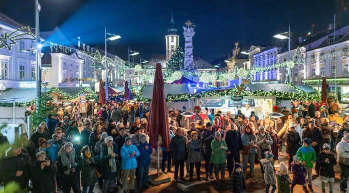 Viel Neues unter dem Baum