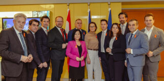 NÖAAB Abgeordnete setzen klares Zeichen „gegen Gewalt an Frauen“