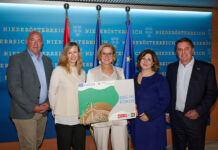 „ESG im Fokus“: accent-Inkubator fördert nachhaltiges Wirtschaften in Niederösterreich