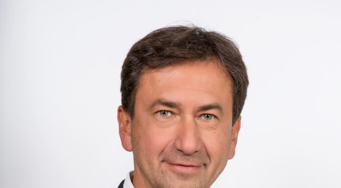 Black Friday und Cyber Monday 2024 – Wichtige Impulse für den niederösterreichischen Handel