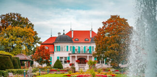 Wer traut sich 2025?