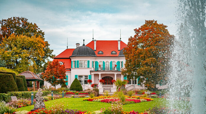 Wer traut sich 2025?