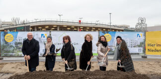 Start zum finalen Viertel im „ein viertel grün“