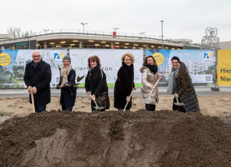 Start zum finalen Viertel im „ein viertel grün“