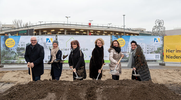 Start zum finalen Viertel im „ein viertel grün“