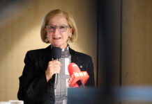 Kulturjahr 2025 in Niederösterreich – Ein Jahr der kreativen Vielfalt