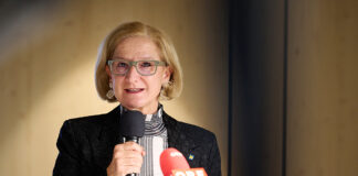 Kulturjahr 2025 in Niederösterreich – Ein Jahr der kreativen Vielfalt