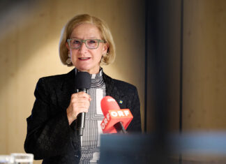 Kulturjahr 2025 in Niederösterreich – Ein Jahr der kreativen Vielfalt