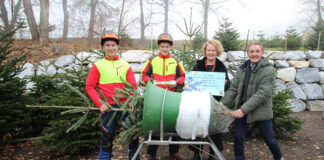Fachschule Pyhra startet den traditionellen Christbaumverkauf