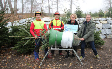Fachschule Pyhra startet den traditionellen Christbaumverkauf