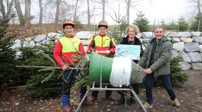 Fachschule Pyhra startet den traditionellen Christbaumverkauf
