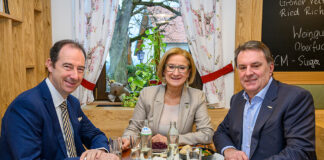 Förderung für Tourismusbetriebe in NÖ: Qualität im Fokus