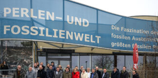 Fossilienwelt Stetten wird „auf Höhe der Zeit“ gebracht