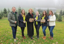 Fachschule Pyhra: Neuestes Projekt der Juniorfirma heißt „senf.liebe“