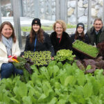 Neues Gewächshaus an Fachschule Pyhra ermöglicht Kultivierung von Wintergemüse