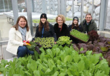 Neues Gewächshaus an Fachschule Pyhra ermöglicht Kultivierung von Wintergemüse