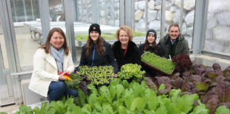 Neues Gewächshaus an Fachschule Pyhra ermöglicht Kultivierung von Wintergemüse