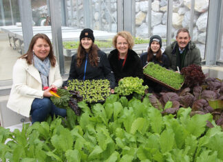 Neues Gewächshaus an Fachschule Pyhra ermöglicht Kultivierung von Wintergemüse