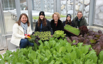 Neues Gewächshaus an Fachschule Pyhra ermöglicht Kultivierung von Wintergemüse