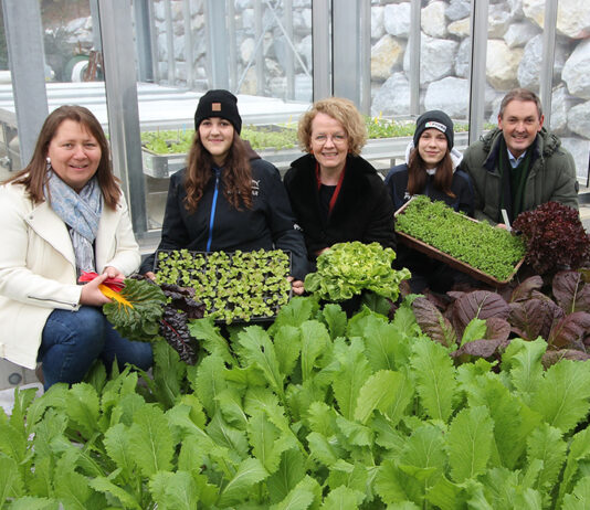 Neues Gewächshaus an Fachschule Pyhra ermöglicht Kultivierung von Wintergemüse