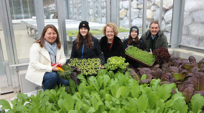 Neues Gewächshaus an Fachschule Pyhra ermöglicht Kultivierung von Wintergemüse