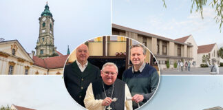 Ökostrom vom Schulerhalter