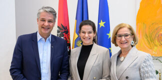 Niederösterreichische Versicherung investiert kräftig im Land