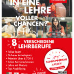 36389_StadtLandZeitung_LL_Akquise_198x275mm.indd