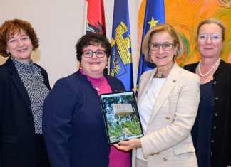 St. Oswald: Aussichtsturm am Lebensweg wurde errichtet