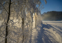 Niederösterreich im Winter zu Fuß erkunden