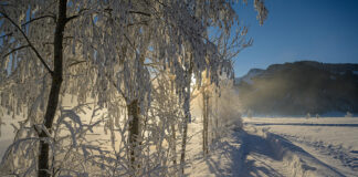 Niederösterreich im Winter zu Fuß erkunden