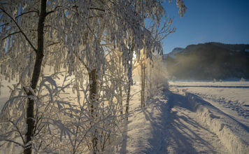 Niederösterreich im Winter zu Fuß erkunden