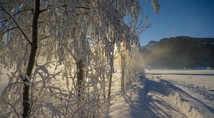 Niederösterreich im Winter zu Fuß erkunden