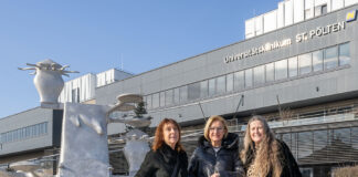 19 Gironcoli-Modelle übersiedeln in die NÖ Landessammlungen