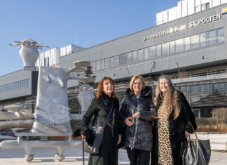 19 Gironcoli-Modelle übersiedeln in die NÖ Landessammlungen