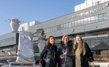 19 Gironcoli-Modelle übersiedeln in die NÖ Landessammlungen