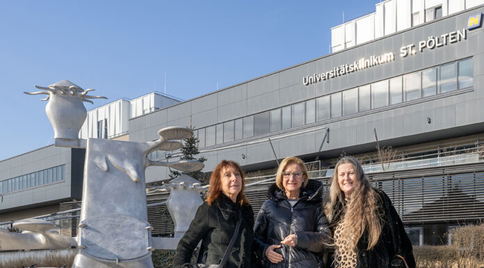 19 Gironcoli-Modelle übersiedeln in die NÖ Landessammlungen