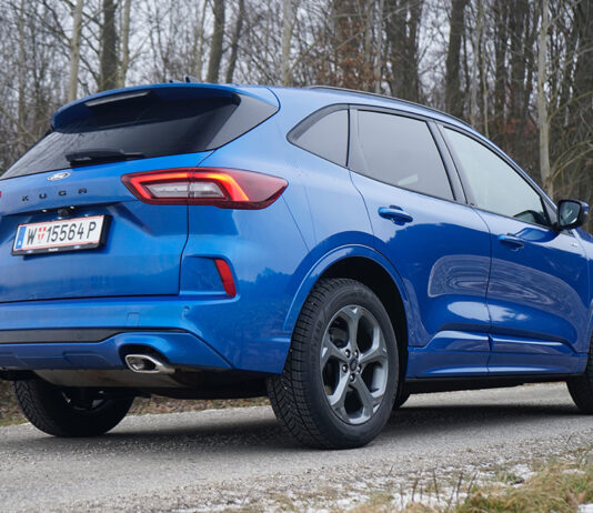 Evolution statt Revolution