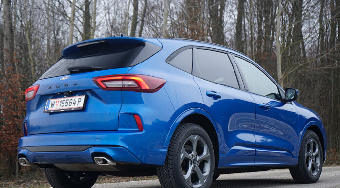 Evolution statt Revolution