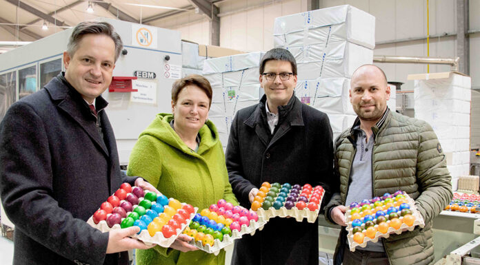 NÖ Eier bleiben in Österreich – Versorgungssicherheit für heimische Konsument:innen hat Vorrang