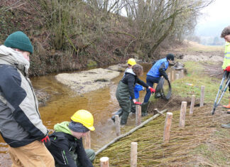 HLUW Yspertal – Top Engagement