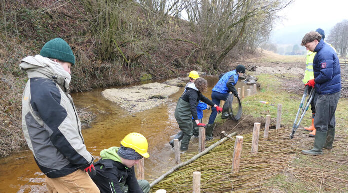 HLUW Yspertal – Top Engagement