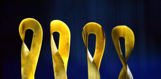 NÖ Kulturpreise 2025: Kreativität und Vielfalt im Fokus