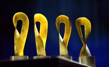 NÖ Kulturpreise 2025: Kreativität und Vielfalt im Fokus